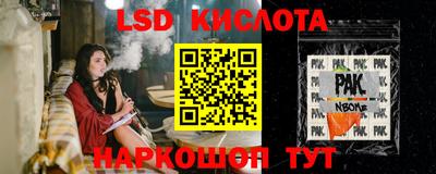 гидропоника Пенза