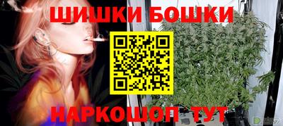 гидропоника Пенза