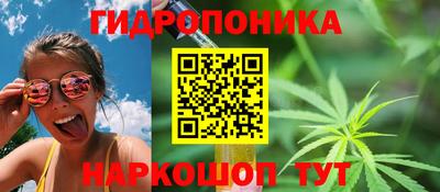 стаф Партизанск