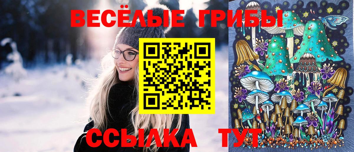 Дюртюли  Псилоцибиновые грибы Psilocybe  Псилоцибиновые грибы GOLDEN TEACHER  Вход с VPN 
